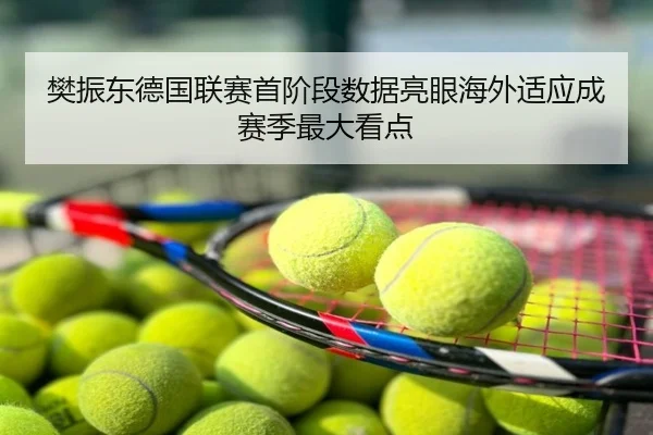 樊振东德国联赛首阶段数据亮眼海外适应成赛季最大看点